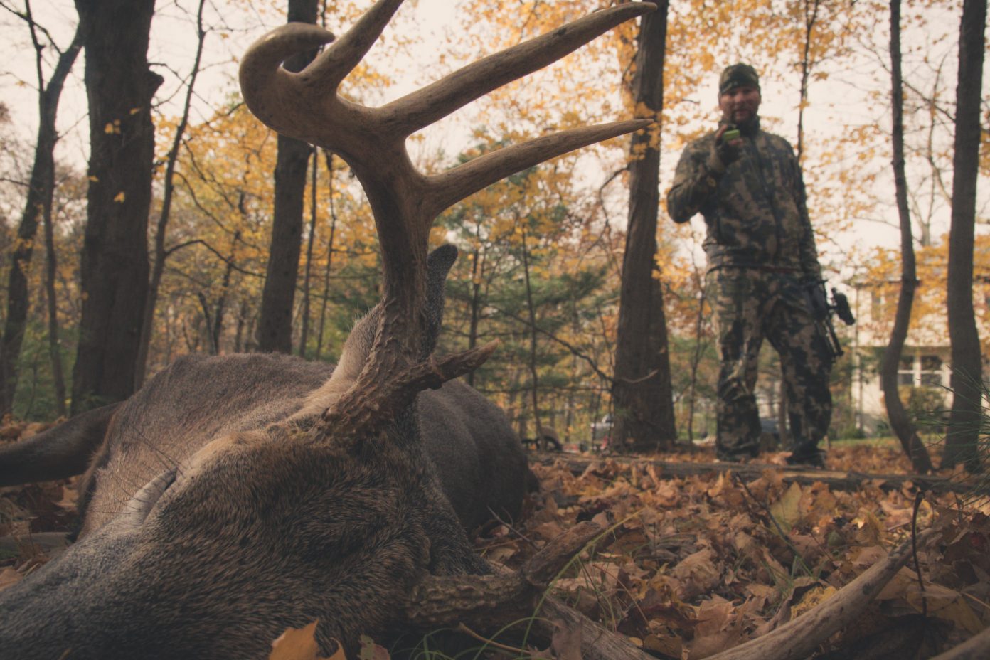 Blue Hills Hunt—Raw and Real The Urban Deer Complex